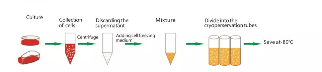 微信图片_20190520130707.jpg 微信图片_20190520130707.jpg